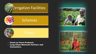 Irrigation Facilities
Schemes
Others
o Grant on Farm Products.
o Long Chain Between Farmers and
Consumers.
 