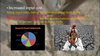 •Increased input cost:-
Rising input costs, lack of remunerative prices both at the
government procurement level and private sector purchases and
lack of extension services are the reasons behind an increase in
incidents of farmers' suicides in many states.
 