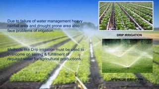 Due to failure of water management heavy
rainfall area and drought prone area also
face problems of irrigation.
Methods like Drip irrigation must be used to
overcome on saving & fulfillment of
required water for agricultural productions..
DRIP IRRIGATION
SPRINKLER IRRIGATION
 