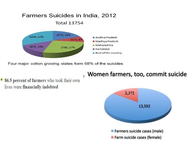 farmer suicides and agrarian distress Too much of public discourse on farmer suicides could bring on unseemly haggling over the numbers activists and the media rightly question loopholes in the national crime records bureau data, pointin. farmer suicides and agrarian distress Too much of public discourse on farmer suicides could bring on unseemly haggling over the numbers activists and the media rightly question loopholes in the national crime records bureau data, pointin.