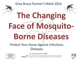 Grey Bruce Farmer’s Week 2014

The Changing
Face of MosquitoBorne Diseases
Protect Your Horse Against Infectious
Diseases
Dr. Tee (Thera) Fox, DVM

 