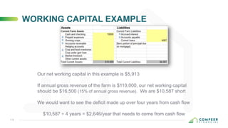 Farm Finances: The Basics | PDF