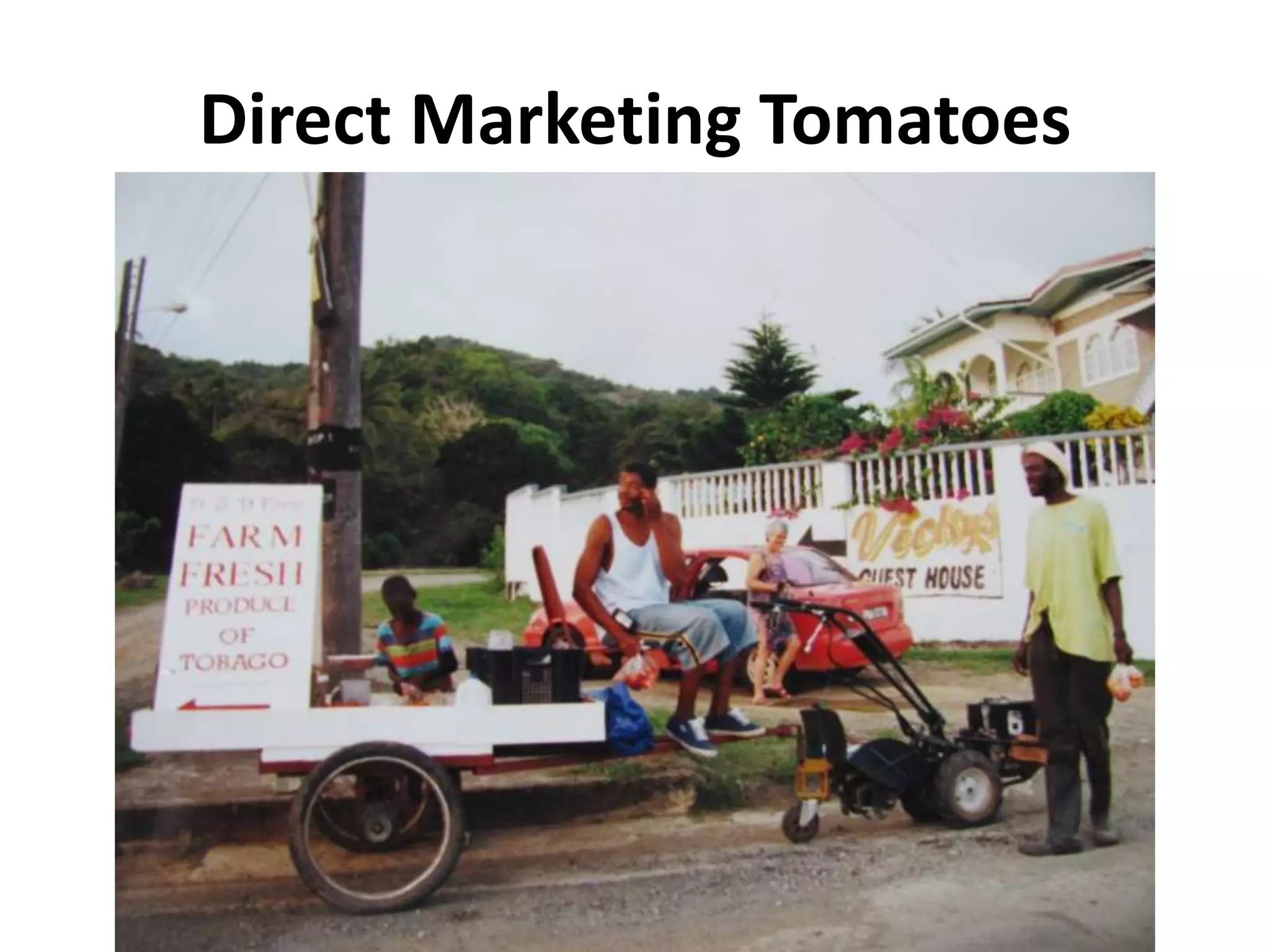 Direct Marketing Tomatoes
 