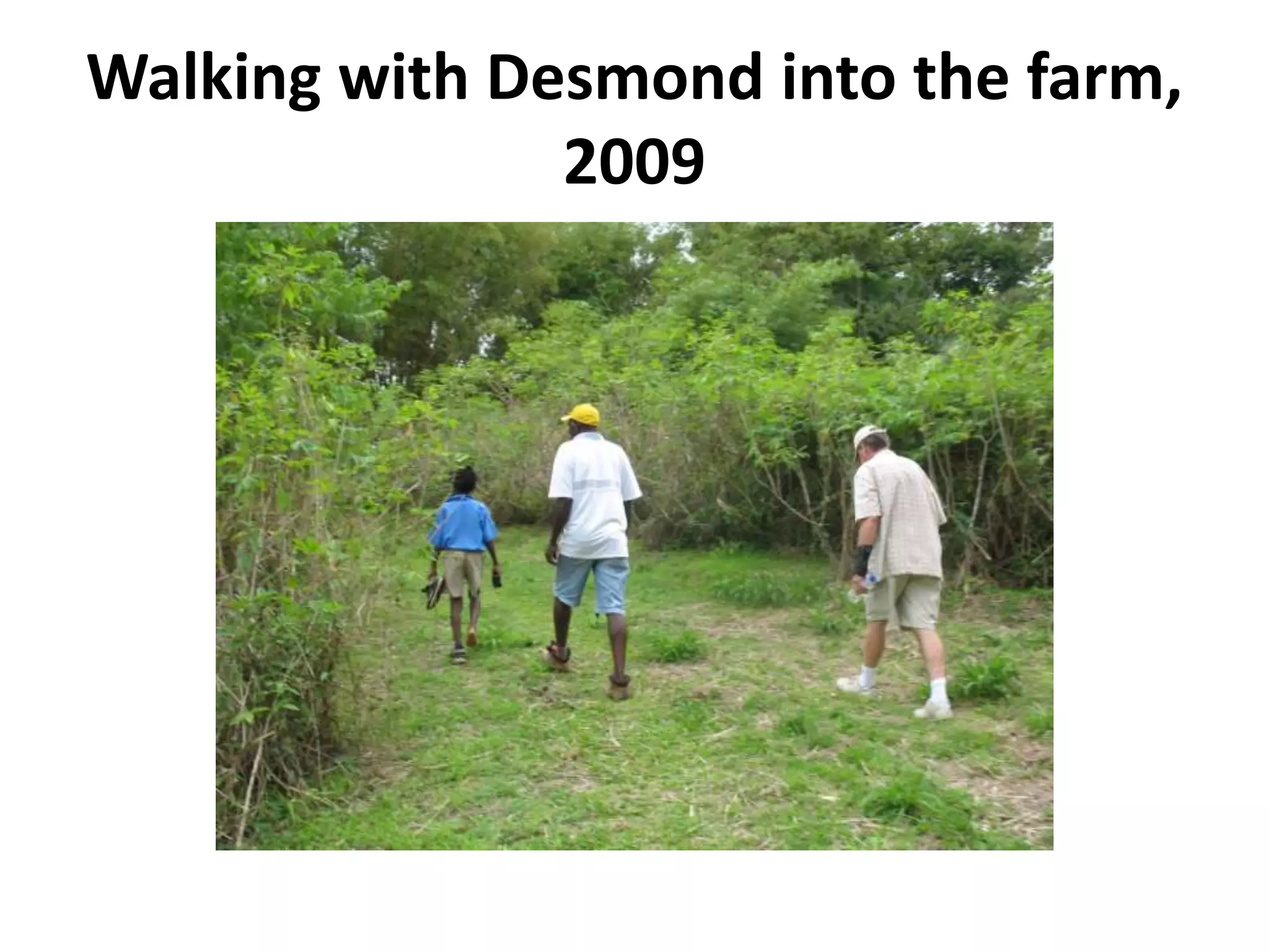 Walking with Desmond into the farm,
2009
 