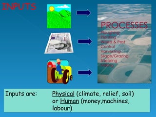 INPUTS Inputs are:  Physical  (climate, relief, soil)  or  Human  (money,machines,  labour) PROCESSES Ploughing Planting Weed & Pest Control Harvesting Silage/Grazing Shearing Milking 