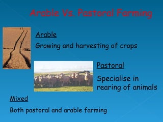 Arable Growing and harvesting of crops Pastoral Specialise in rearing of animals Mixed Both pastoral and arable farming 