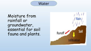 Moisture from
rainfall or
groundwater,
essential for soil
fauna and plants.
Water
 