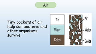 Tiny pockets of air
help soil bacteria and
other organisms
survive.
Air
 