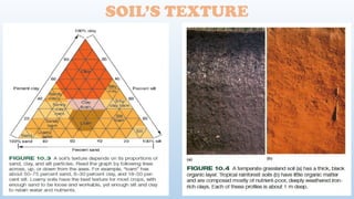 SOIL’S TEXTURE
 