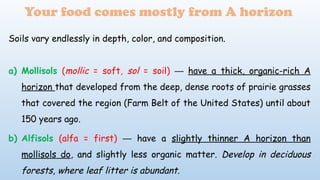 Soils vary endlessly in depth, color, and composition.
a) Mollisols (mollic = soft, sol = soil) ─ have a thick, organic-rich A
horizon that developed from the deep, dense roots of prairie grasses
that covered the region (Farm Belt of the United States) until about
150 years ago.
b) Alfisols (alfa = first) have a
─ slightly thinner A horizon than
mollisols do, and slightly less organic matter. Develop in deciduous
forests, where leaf litter is abundant.
Your food comes mostly from A horizon
 