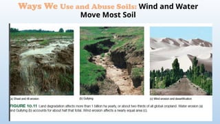 Ways We Use and Abuse Soils: Wind and Water
Move Most Soil
 