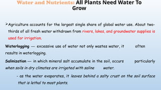 Agriculture accounts for the largest single share of global water use. About two-
thirds of all fresh water withdrawn from rivers, lakes, and groundwater supplies is
used for irrigation.
Waterlogging ─ excessive use of water not only wastes water, it often
results in waterlogging.
Salinization ─ in which mineral salt accumulate in the soil, occurs particularly
when soils in dry climates are irrigated with saline water.
- as the water evaporates, it leaves behind a salty crust on the soil surface
that is lethal to most plants.
Water and Nutrients: All Plants Need Water To
Grow
 