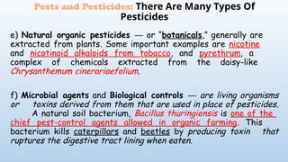 e) Natural organic pesticides or “
─ botanicals,” generally are
extracted from plants. Some important examples are nicotine
and nicotinoid alkaloids from tobacco, and pyrethrum, a
complex of chemicals extracted from the daisy-like
Chrysanthemum cinerariaefolium.
f) Microbial agents and Biological controls ─ are living organisms
or toxins derived from them that are used in place of pesticides.
A natural soil bacterium, Bacillus thuringiensis is one of the
chief pest-control agents allowed in organic farming. This
bacterium kills caterpillars and beetles by producing toxin that
ruptures the digestive tract lining when eaten.
Pests and Pesticides: There Are Many Types Of
Pesticides
 