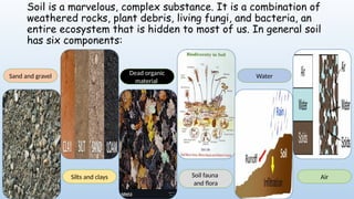 Soil is a marvelous, complex substance. It is a combination of
weathered rocks, plant debris, living fungi, and bacteria, an
entire ecosystem that is hidden to most of us. In general soil
has six components:
Sand and gravel
Soil fauna
and flora
Silts and clays
Dead organic
material
Water
Air
 