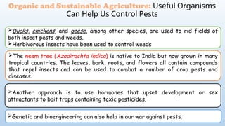 Organic and Sustainable Agriculture: Useful Organisms
Can Help Us Control Pests
Ducks, chickens, and geese, among other species, are used to rid fields of
both insect pests and weeds.
Herbivorous insects have been used to control weeds
The neem tree (Azadirachta indica) is native to India but now grown in many
tropical countries. The leaves, bark, roots, and flowers all contain compounds
that repel insects and can be used to combat a number of crop pests and
diseases.
Another approach is to use hormones that upset development or sex
attractants to bait traps containing toxic pesticides.
Genetic and bioengineering can also help in our war against pests.
 