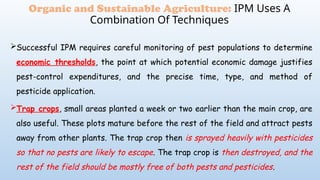 Successful IPM requires careful monitoring of pest populations to determine
economic thresholds, the point at which potential economic damage justifies
pest-control expenditures, and the precise time, type, and method of
pesticide application.
Trap crops, small areas planted a week or two earlier than the main crop, are
also useful. These plots mature before the rest of the field and attract pests
away from other plants. The trap crop then is sprayed heavily with pesticides
so that no pests are likely to escape. The trap crop is then destroyed, and the
rest of the field should be mostly free of both pests and pesticides.
Organic and Sustainable Agriculture: IPM Uses A
Combination Of Techniques
 