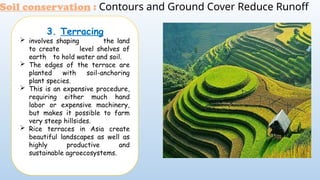 3. Terracing
 involves shaping the land
to create level shelves of
earth to hold water and soil.
 The edges of the terrace are
planted with soil-anchoring
plant species.
 This is an expensive procedure,
requiring either much hand
labor or expensive machinery,
but makes it possible to farm
very steep hillsides.
 Rice terraces in Asia create
beautiful landscapes as well as
highly productive and
sustainable agroecosystems.
Soil conservation : Contours and Ground Cover Reduce Runoff
 