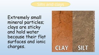 Extremely small
mineral particles;
clays are sticky
and hold water
because their flat
surfaces and ionic
charges.
Silts and clays
 