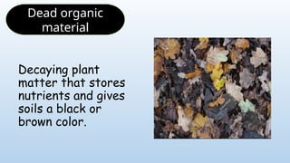 Decaying plant
matter that stores
nutrients and gives
soils a black or
brown color.
Dead organic
material
 