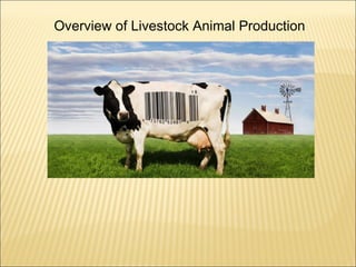 Overview of Livestock Animal Production 