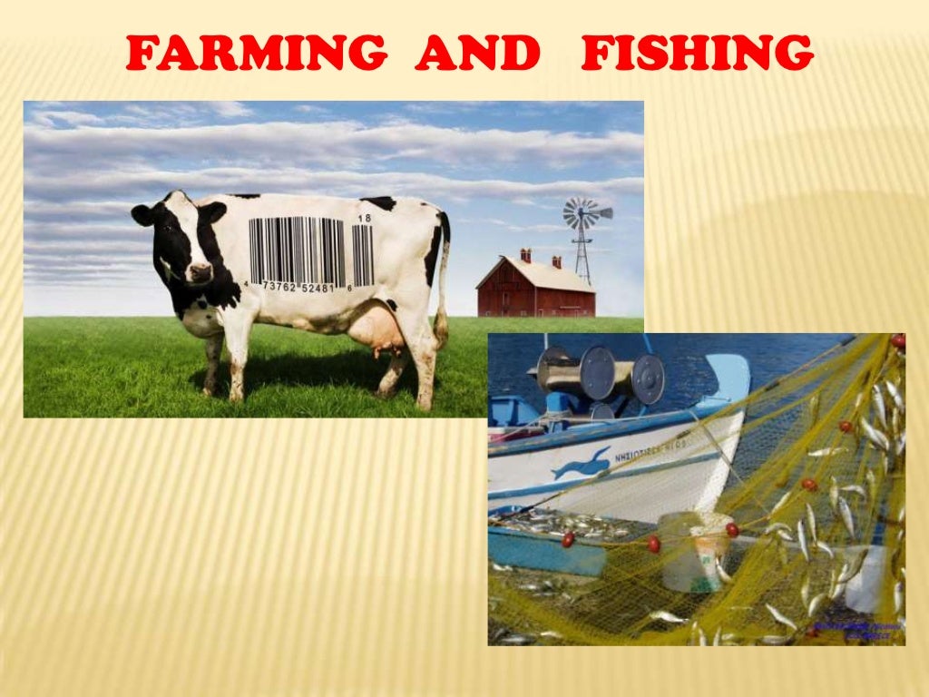 https://2ndcyclesanjose.wordpress.com/category/farming-and-fishing/