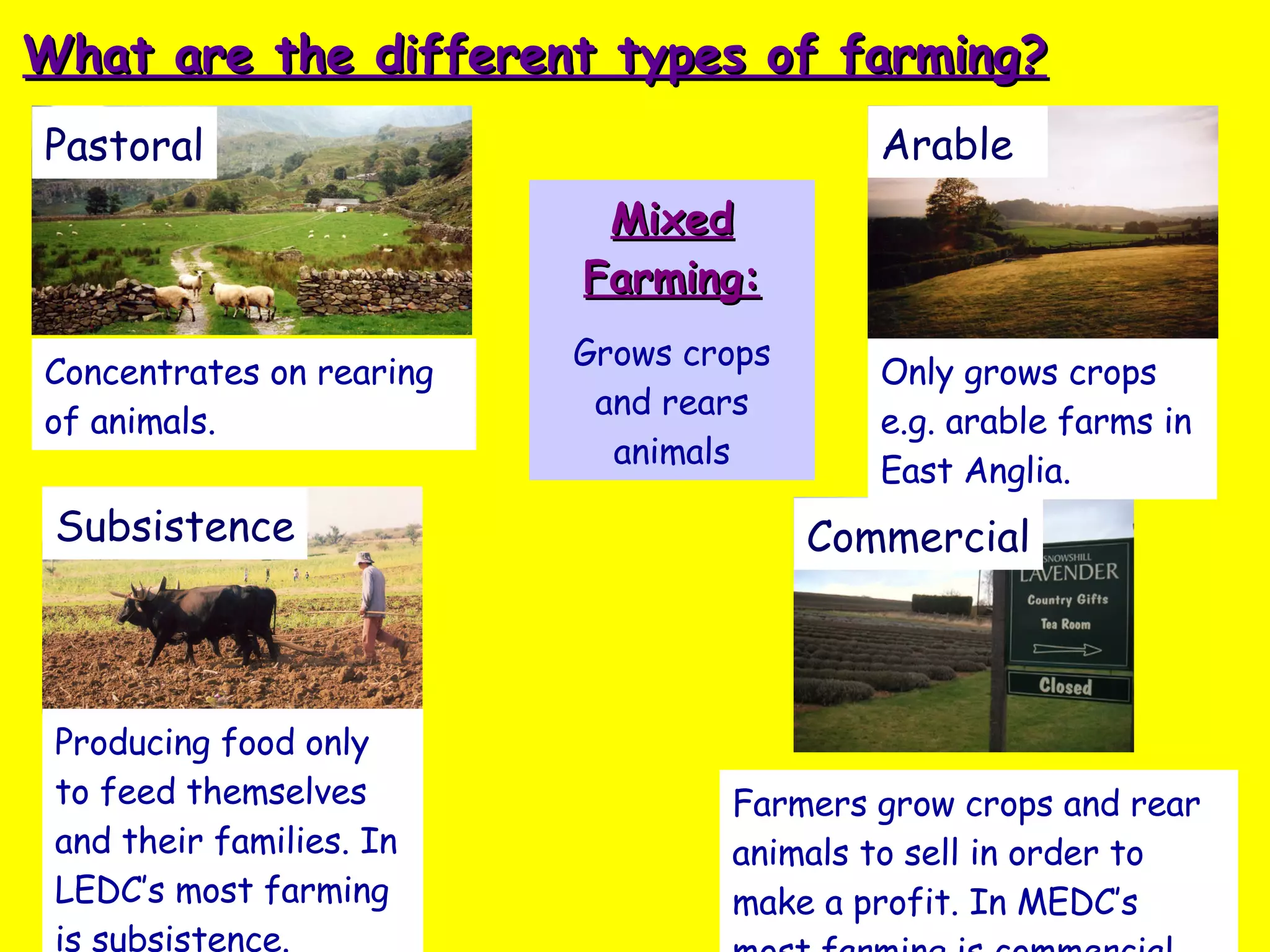 What are the different types of farming? Concentrates on rearing of animals. Only grows crops e.g. arable farms in East Anglia. Mixed Farming: Grows crops and rears animals Producing food only to feed themselves and their families. In LEDC’s most farming is subsistence. Farmers grow crops and rear animals to sell in order to make a profit. In MEDC’s most farming is commercial. Arable Pastoral Commercial Subsistence 