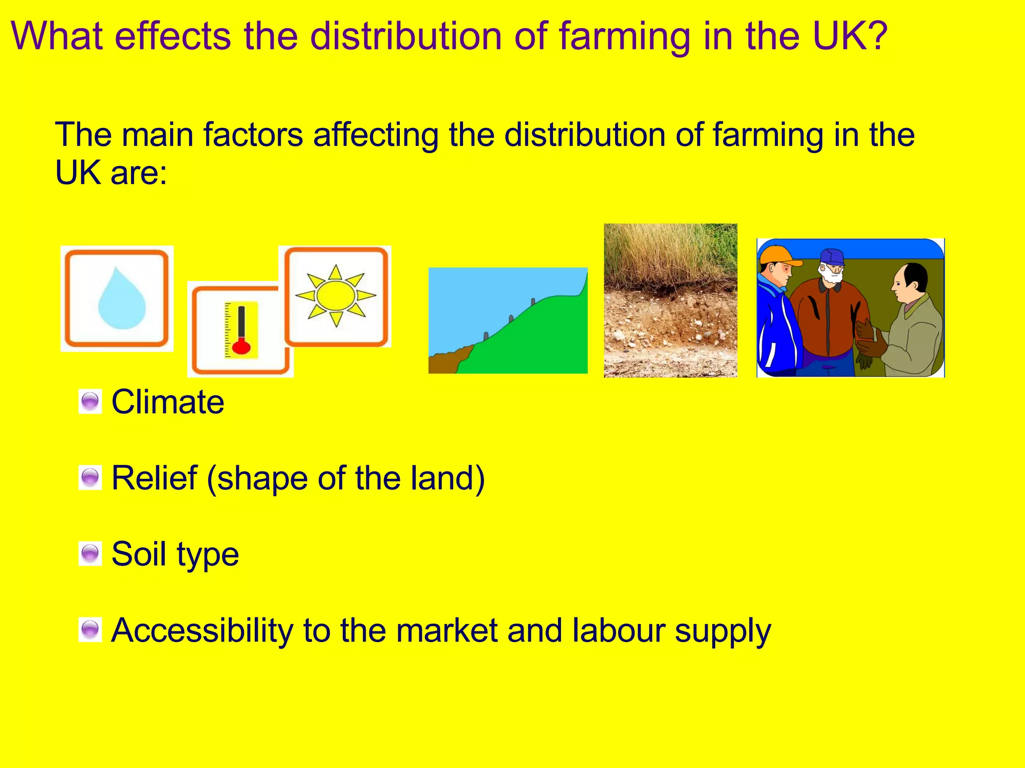 Climate Relief (shape of the land) Soil type Accessibility to the market and labour supply The main factors affecting the distribution of farming in the UK are: What effects the distribution of farming in the UK? 