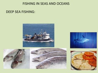 FISHING IN SEAS AND OCEANS
DEEP SEA FISHING:

 