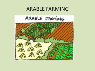 ARABLE FARMING

 