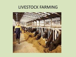 LIVESTOCK FARMING

 