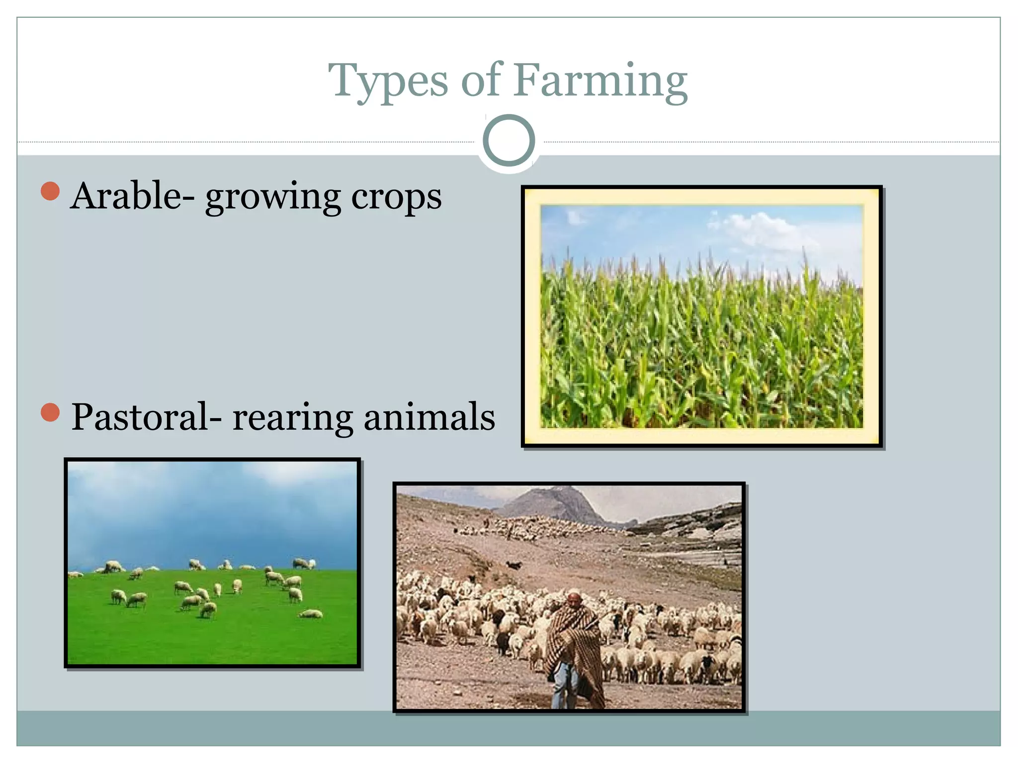 Types of Farming
Arable- growing crops
Pastoral- rearing animals
 