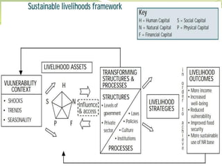 Livelihood Components FARMING BASED LIVELIHOOD SYSTEMS LECTURE PPT | PDF