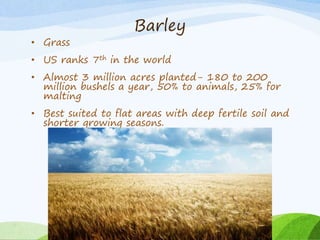 Barley
• Grass
• US ranks 7th in the world
• Almost 3 million acres planted- 180 to 200
million bushels a year, 50% to animals, 25% for
malting
• Best suited to flat areas with deep fertile soil and
shorter growing seasons.
 