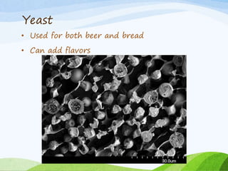 Yeast
• Used for both beer and bread
• Can add flavors
 