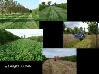 Wakelyn’s, Suffolk
 