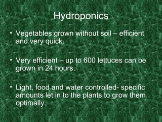 Hydroponics Vegetables grown without soil – efficient and very quick. Very efficient – up to 600 lettuces can be grown in 24 hours. Light, food and water controlled- specific amounts let in to the plants to grow them optimally. 
