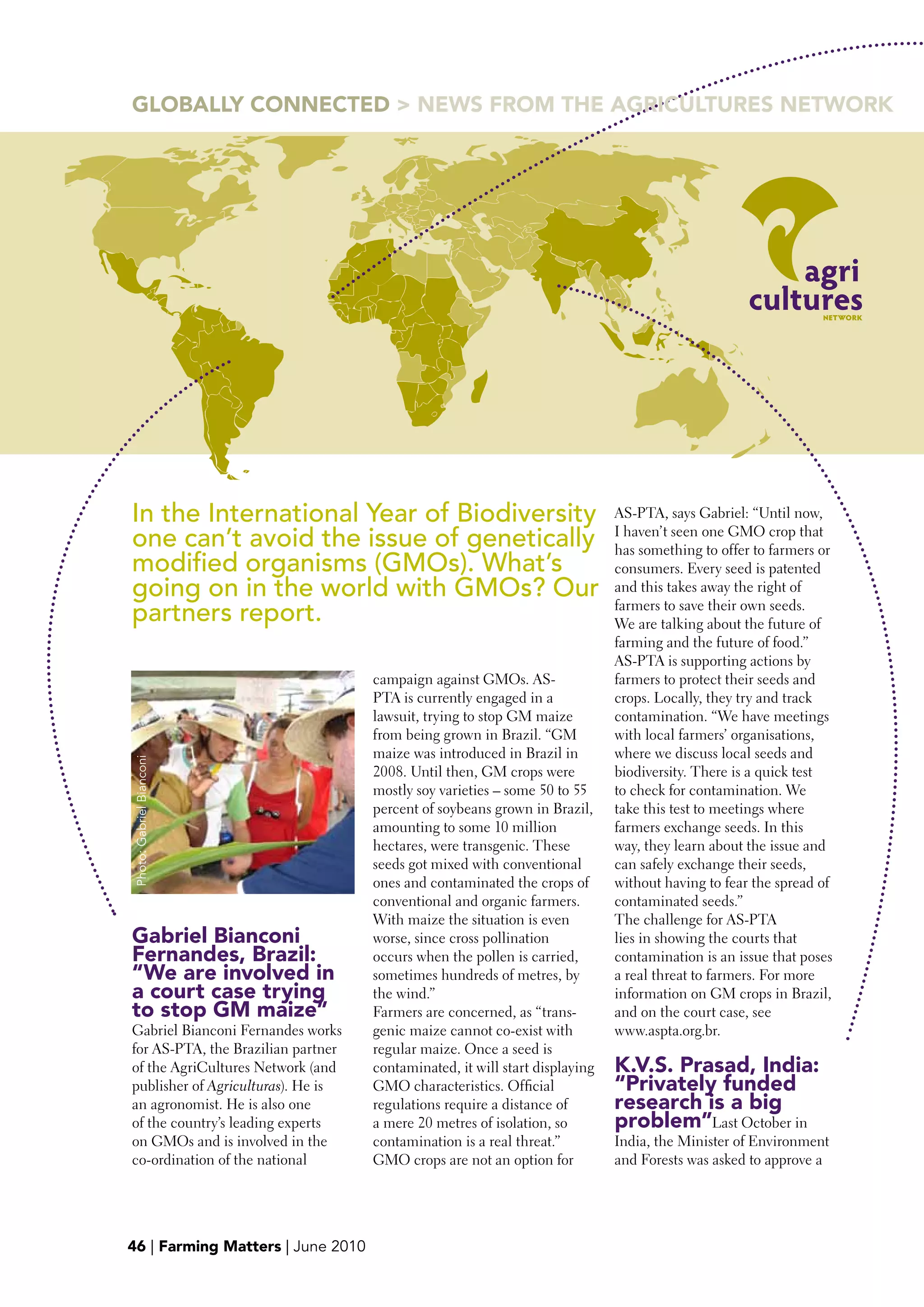 GLObALLY CONNECTED > NEwS FROM THE AGRICULTURES NETwORK




In the International Year of Biodiversity                                    AS-PTA, says Gabriel: “Until now,
                                                                             I haven’t seen one GMO crop that
one can’t avoid the issue of genetically                                     has something to offer to farmers or
modified organisms (GMOs). What’s                                            consumers. Every seed is patented
going on in the world with GMOs? Our                                         and this takes away the right of
                                                                             farmers to save their own seeds.
partners report.                                                             We are talking about the future of
                                                                             farming and the future of food.”
                                                                             AS-PTA is supporting actions by
                                    campaign against GMOs. AS-               farmers to protect their seeds and
                                    PTA is currently engaged in a            crops. Locally, they try and track
                                    lawsuit, trying to stop GM maize         contamination. “We have meetings
                                    from being grown in Brazil. “GM          with local farmers’ organisations,
                                    maize was introduced in Brazil in        where we discuss local seeds and
Photo: Gabriel Bianconi




                                    2008. Until then, GM crops were          biodiversity. There is a quick test
                                    mostly soy varieties – some 50 to 55     to check for contamination. We
                                    percent of soybeans grown in Brazil,     take this test to meetings where
                                    amounting to some 10 million             farmers exchange seeds. In this
                                    hectares, were transgenic. These         way, they learn about the issue and
                                    seeds got mixed with conventional        can safely exchange their seeds,
                                    ones and contaminated the crops of       without having to fear the spread of
                                    conventional and organic farmers.        contaminated seeds.”
                                    With maize the situation is even         The challenge for AS-PTA
Gabriel bianconi                    worse, since cross pollination           lies in showing the courts that
Fernandes, brazil:                  occurs when the pollen is carried,       contamination is an issue that poses
“we are involved in                 sometimes hundreds of metres, by         a real threat to farmers. For more
a court case trying                 the wind.”                               information on GM crops in Brazil,
to stop GM maize”                   Farmers are concerned, as “trans-        and on the court case, see
Gabriel Bianconi Fernandes works    genic maize cannot co-exist with         www.aspta.org.br.
for AS-PTA, the Brazilian partner   regular maize. Once a seed is
of the AgriCultures Network (and    contaminated, it will start displaying   K.V.S. prasad, India:
publisher of Agriculturas). He is   GMO characteristics. Official            “privately funded
an agronomist. He is also one       regulations require a distance of        research is a big
of the country’s leading experts    a mere 20 metres of isolation, so        problem”Last October in
on GMOs and is involved in the      contamination is a real threat.”         India, the Minister of Environment
co-ordination of the national       GMO crops are not an option for          and Forests was asked to approve a




47
46 | Farming Matters | June 2010
 