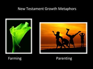 New Testament Growth Metaphors Farming Parenting 