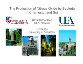 The Production of Nitrous Oxide by Bacteria
         in Chemostat and Soil

               David Richardson
                UEA, Norwich

                   Liz Baggs
             University of Aberdeen
 
