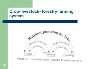 Crop- livestock- forestry farming
     system




17
 