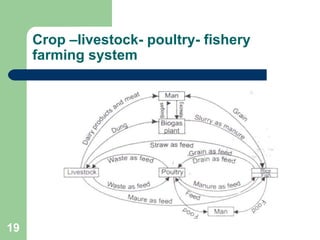 Crop –livestock- poultry- fishery
     farming system




19
 