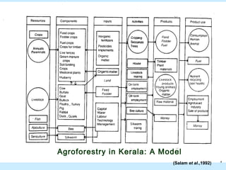Agroforestry in Kerala: A Model
                                             24
                            (Salam et al.,1992)
 