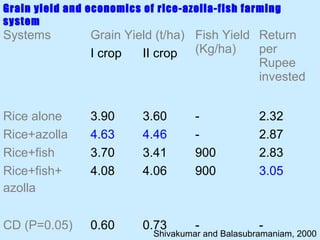 Grain yield and economics of rice-azolla-fish farming
system
Systems         Grain Yield (t/ha) Fish Yield Return
                I crop   II crop (Kg/ha)      per
                                              Rupee
                                              invested


Rice alone      3.90      3.60       -             2.32
Rice+azolla     4.63      4.46       -             2.87
Rice+fish       3.70      3.41       900           2.83
Rice+fish+      4.08      4.06       900           3.05
azolla

CD (P=0.05)     0.60      0.73       -             -
                            Shivakumar and Balasubramaniam, 2000
 