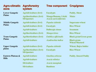Agro-climatic Agroforestry                    Tree component Crop/grass
zone          system
Lower Gangetic      Agrisilviculture (Irri)   Eucalypts               Paddy, Sheat
Plains
                    Agrihorticulture (Irri)   Mango/Banana, Litchi    Maize
                    Silvipasture              Acacia auriculiformis
Middle Gangetic     Agrisilviculture (Irri)   Populus deltoids        Sugarcane-wheat
Plains
                    Agrisilviculture (Irri)   Eucalypts               Rice-Wheat
                    Agrisilviculture          Dalbergia sissoo        Sesamum
                    Agrihorticulture (Irri)   Mango/citrus            Rice-Wheat
Trans Gangetic      Agrihorticulture (Irri)   Emblica officinalis     Black gram/Green gram
Plains
                    Agrisilviculture          Azadirachta indica      Black gram-
                                                                      Wheat/Mustard
Upper Gangetic      Agrisilviculture (Irri)   Populus deltoids        Wheat, Bajra fodder
plains
                    Agrihorticulture (Irri)   Eucalypts               Rice-Wheat
                    Silvipasture
Eastern Plateau &   Agrisilviculture          Gmelina arborea         Paddy, linseed Paddy
Hills
                    Agrisilviculture          Acacia nilotica
                    Silviculture              Acacia mangium
                    Silviculture              Bamboos
 