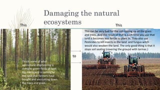 Damaging the natural
ecosystems
This is some of what
agricultural engineering is
doing to green fields of land.
Big machinery is coming to
the land that farmers have
bought and are cutting down
the trees and grass.
This
to
This
This can be very bad for the soil ripping up all the grass
and trees. And the result of that is each time you use that
land it becomes less fertile to plant in. They also use
Pesticides to kill insects in the land and fungus witch
would also weaken the land. The only good thing is that it
stops soil sealing (covering the ground with tarmac.)
 
