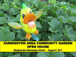 FARMINGTON AREA COMMUNITY GARDEN OPEN HOUSE Meadowview Elementary School  -  August 6, 2011  