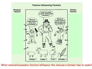 What natural/economic factors influence the choices a farmer has to make? 