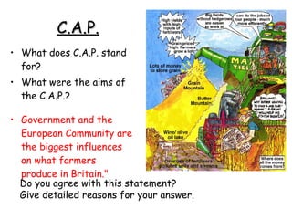 C.A.P. What does C.A.P. stand for? What were the aims of the C.A.P.? Government and the European Community are the biggest influences on what farmers produce in Britain." Do you agree with this statement? Give detailed reasons for your answer. 
