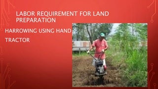 LABOR REQUIREMENT FOR LAND
PREPARATION
HARROWING USING HAND
TRACTOR
 