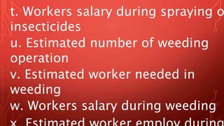t. Workers salary during spraying o
insecticides
u. Estimated number of weeding
operation
v. Estimated worker needed in
weeding
w. Workers salary during weeding
 